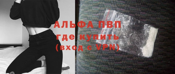 СК Белокуриха