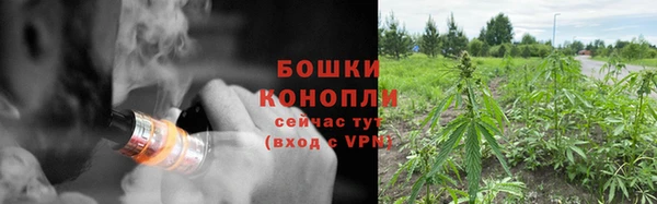эйфоретик Белоозёрский