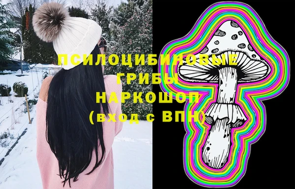 СК Белокуриха